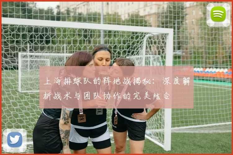 上海排球队的阵地战揭秘：深度解析战术与团队协作的完美结合
