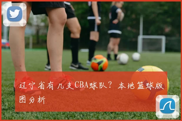 辽宁省有几支CBA球队？本地篮球版图分析