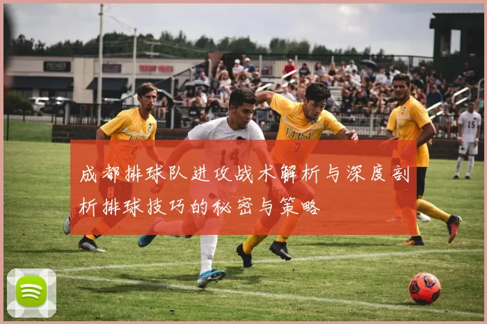 成都排球队进攻战术解析与深度剖析排球技巧的秘密与策略
