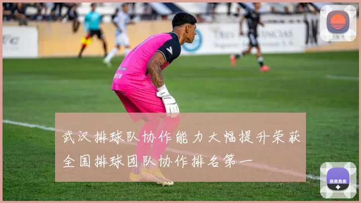 武汉排球队协作能力大幅提升荣获全国排球团队协作排名第一