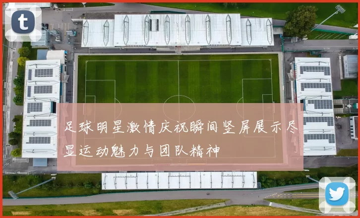 足球明星激情庆祝瞬间竖屏展示尽显运动魅力与团队精神