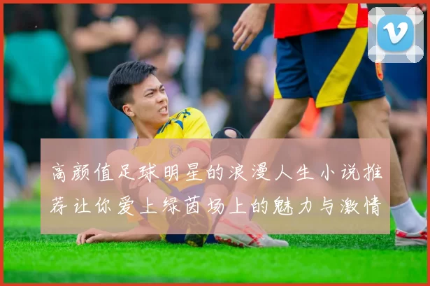高颜值足球明星的浪漫人生小说推荐让你爱上绿茵场上的魅力与激情