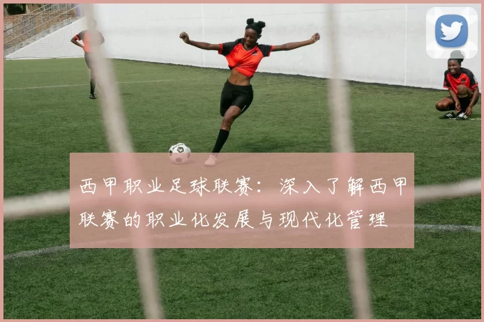 西甲职业足球联赛：深入了解西甲联赛的职业化发展与现代化管理