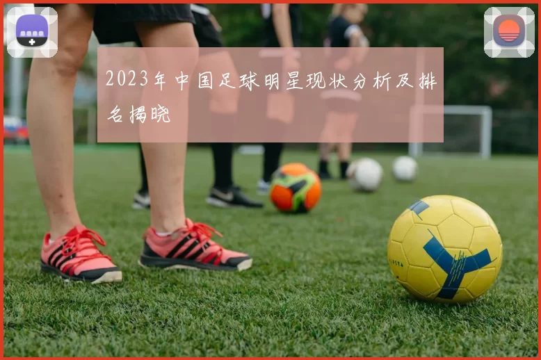 2023年中国足球明星现状分析及排名揭晓