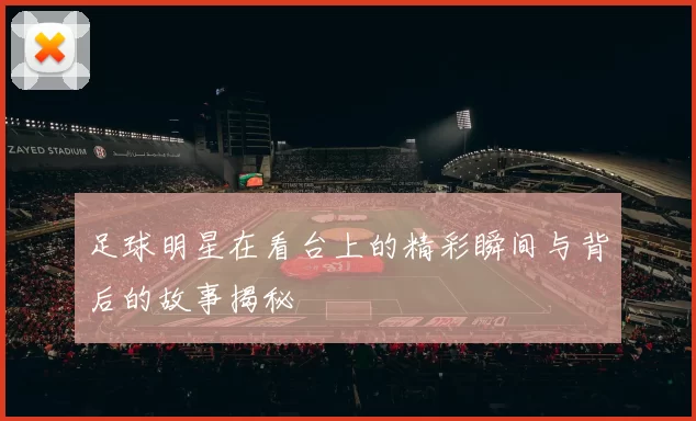 足球明星在看台上的精彩瞬间与背后的故事揭秘