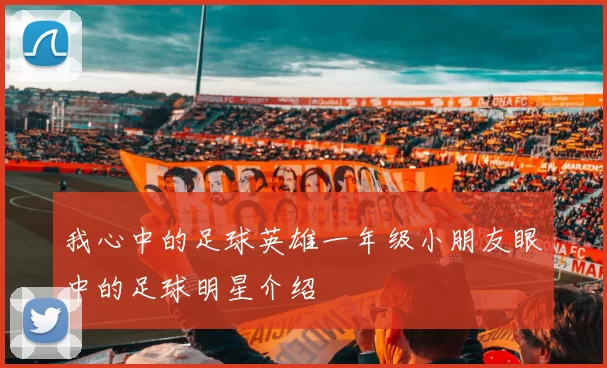 我心中的足球英雄一年级小朋友眼中的足球明星介绍