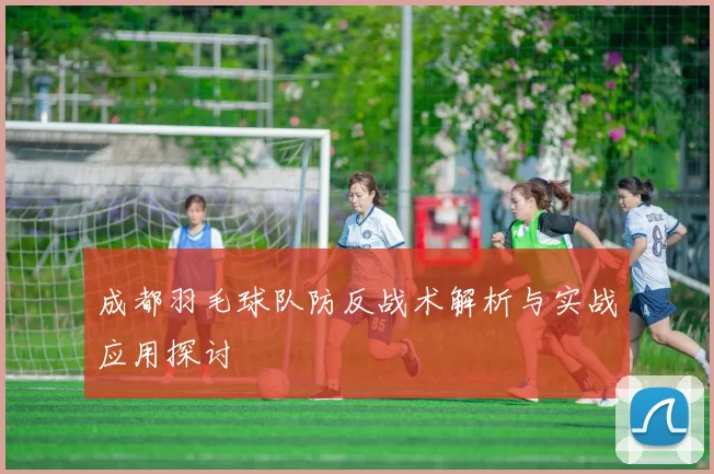 成都羽毛球队防反战术解析与实战应用探讨