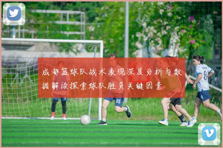 成都篮球队战术表现深度分析与数据解读探索球队胜负关键因素