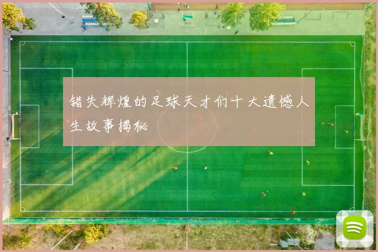 错失辉煌的足球天才们十大遗憾人生故事揭秘