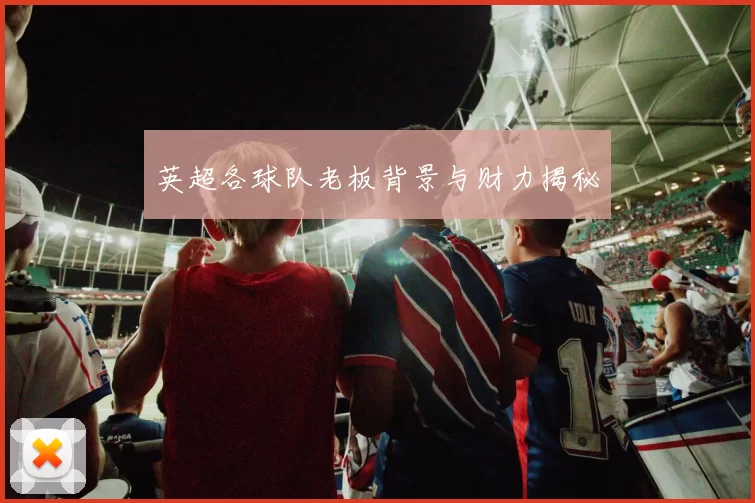 英超各球队老板背景与财力揭秘