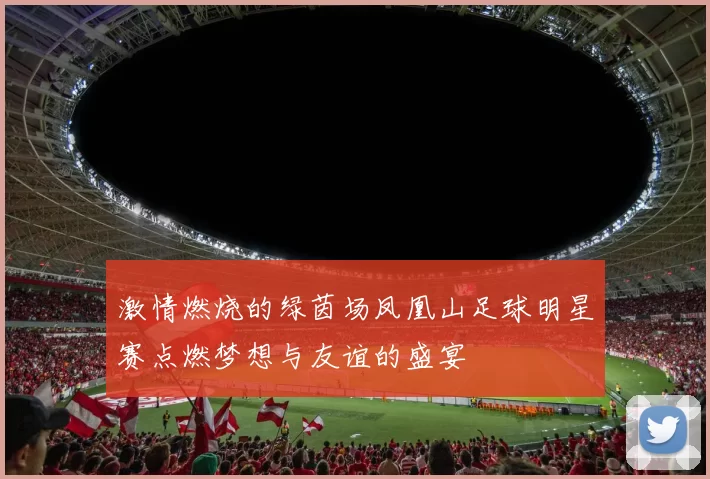 激情燃烧的绿茵场凤凰山足球明星赛点燃梦想与友谊的盛宴