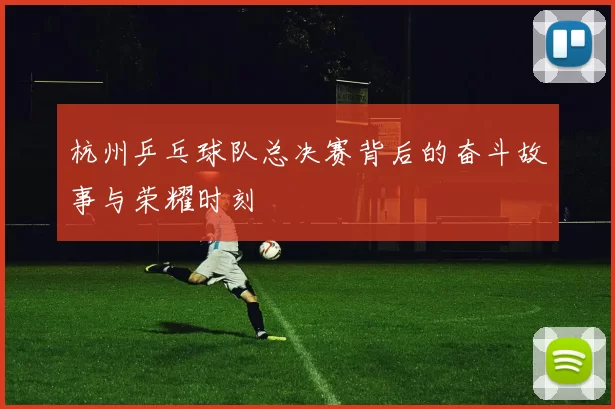 杭州乒乓球队总决赛背后的奋斗故事与荣耀时刻
