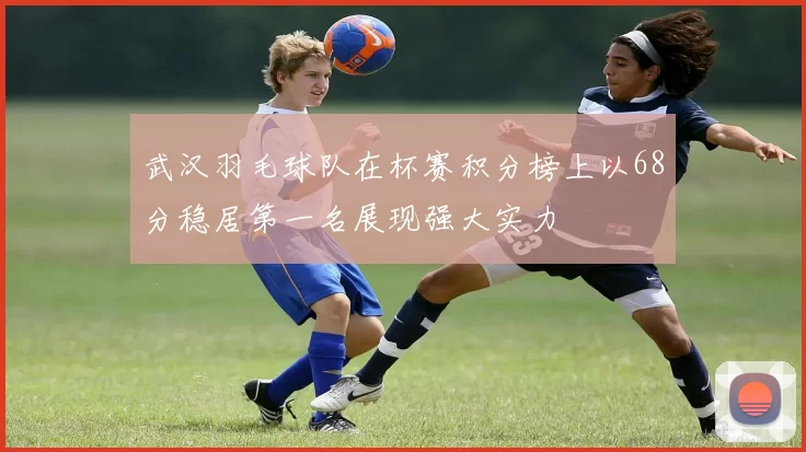 武汉羽毛球队在杯赛积分榜上以68分稳居第一名展现强大实力
