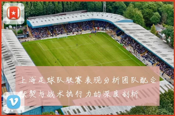 上海足球队联赛表现分析团队配合默契与战术执行力的深度剖析